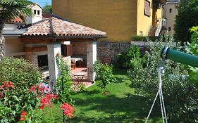 Holiday House Arena